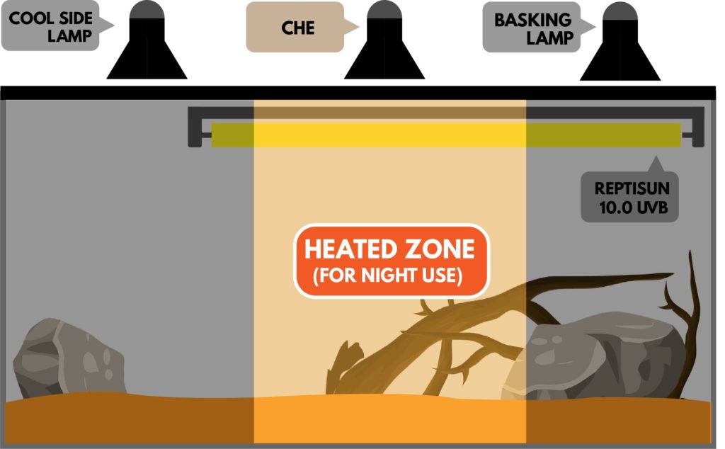 bearded dragon ceramic heat emitter