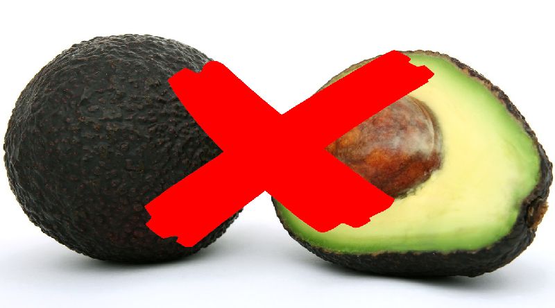 foods to avoid bearded dragon