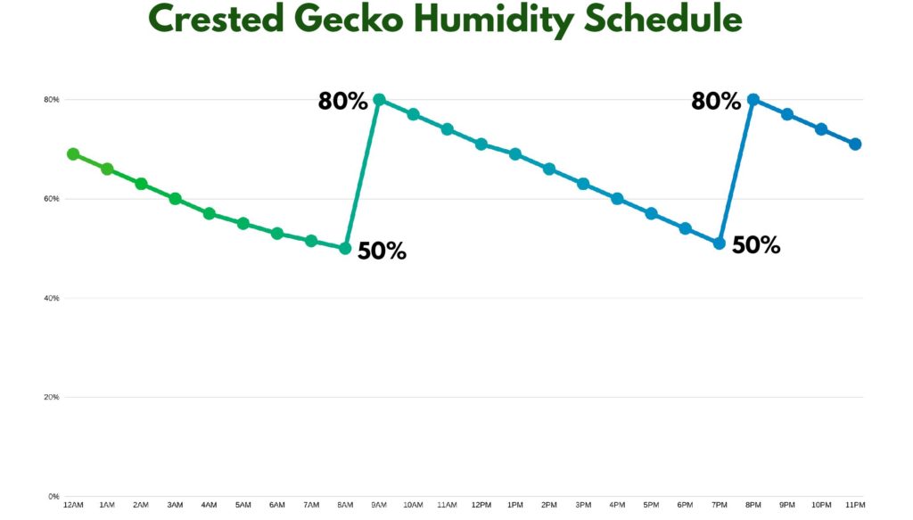 crested gecko humidity