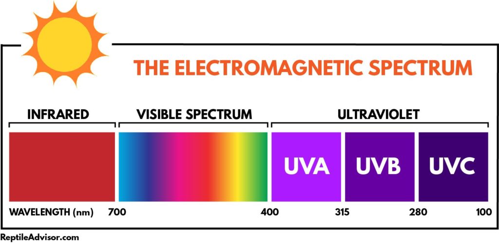 Electromagnetic spectrum