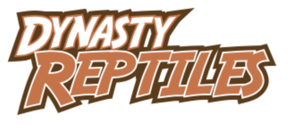 dynasty reptiles
