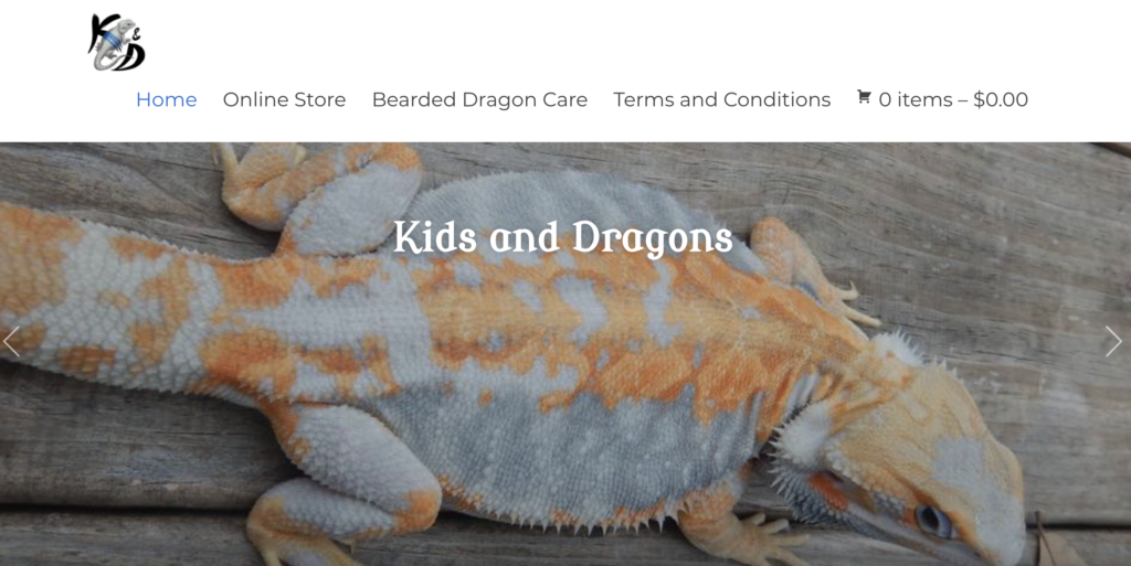 kids and dragons